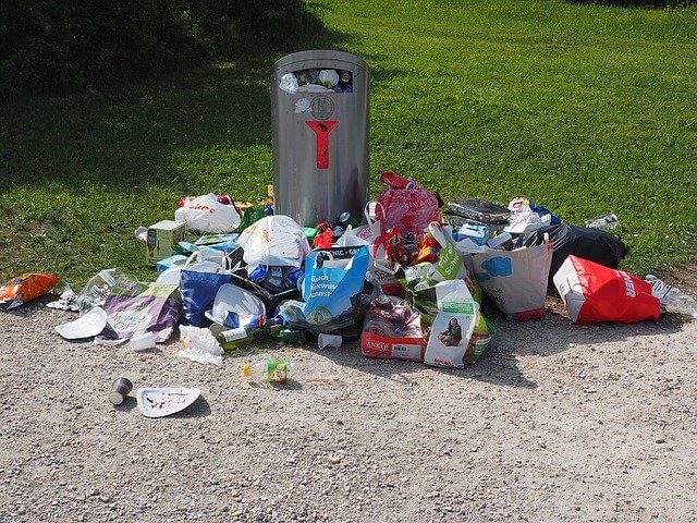 How to Reduce Holiday Waste in 2019